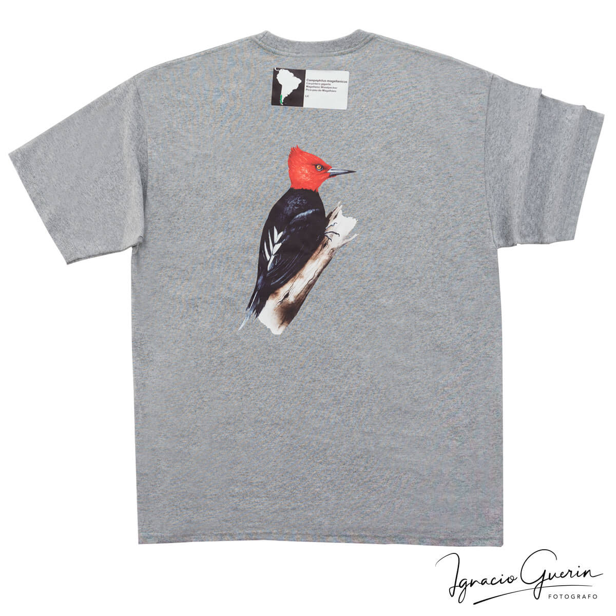 Fotografía de Productos Remera Indumentaria - Fotografía profesional de productos para ecommerce,sitiosweb corporativos, redes sociales, catálogos - Fotógrafo Ignacio Guerin_20
